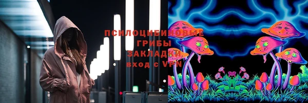 меф VHQ Дмитриев