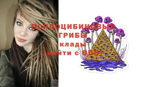 прущие крисы Гусиноозёрск