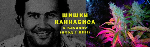 кокс Дмитров