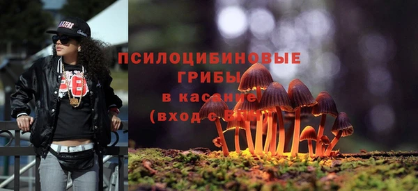 меф VHQ Дмитриев